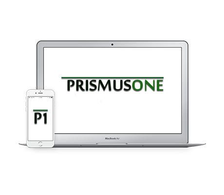 Sistema PrismusOne